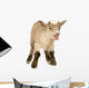 Farm Decals - Pygmy Goat Kit Wall Decal