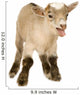 Farm Decals - Pygmy Goat Kit Wall Decal