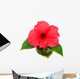 Pink Hibiscus with Leaves Wall Decal