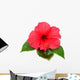 Pink Hibiscus with Leaves Wall Decal