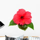 Pink Hibiscus with Leaves Wall Decal