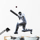Cricket player  batsman silhouette Wall Decal