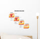 wound healing diagram Wall Decal