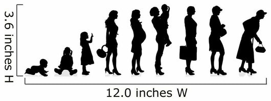 evolution generation women Wall Decal