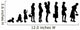 evolution generation women Wall Decal