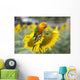 Fields Sunflowers and Parrot Wall Decal