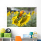 Fields Sunflowers and Parrot Wall Decal