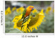 Fields Sunflowers and Parrot Wall Decal