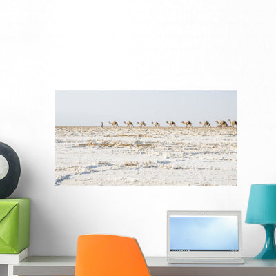 Danakil, Afar Land, Salt Mining Wall Decal shown on a wall