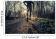 a man trail running in the country Wall Decal