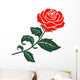 red rose Wall Decal