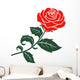 red rose Wall Decal
