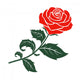 red rose Wall Decal