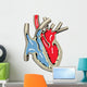 Human Heart Anatomy Wall Decal
