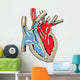 Human Heart Anatomy Wall Decal