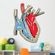 Human Heart Anatomy Wall Decal
