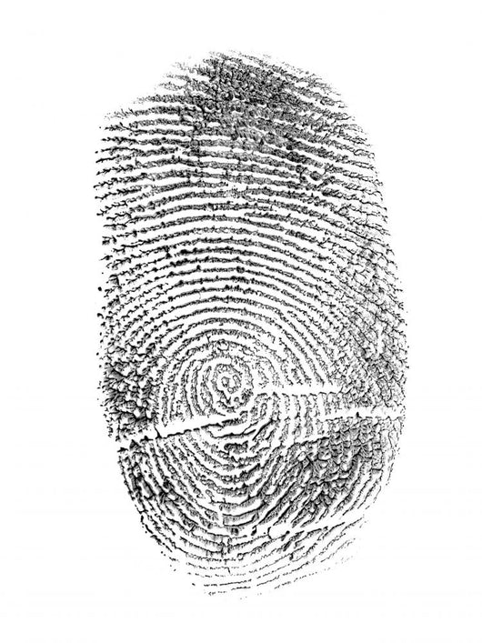 black finger print isolated on white Wall Decal