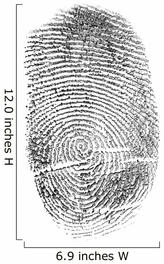black finger print isolated on white Wall Decal