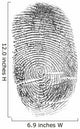 black finger print isolated on white Wall Decal