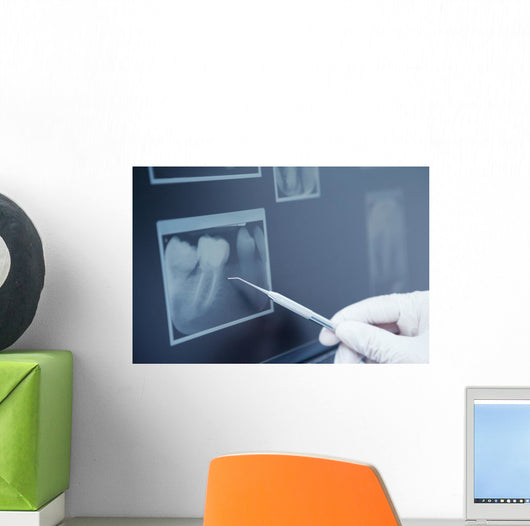 Gloved hand holding dental tool to teeth x-ray Wall Decal