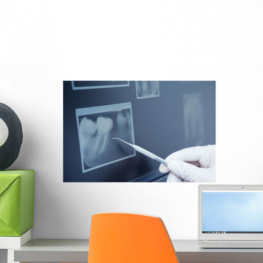 Gloved hand holding dental tool to teeth x-ray Wall Decal