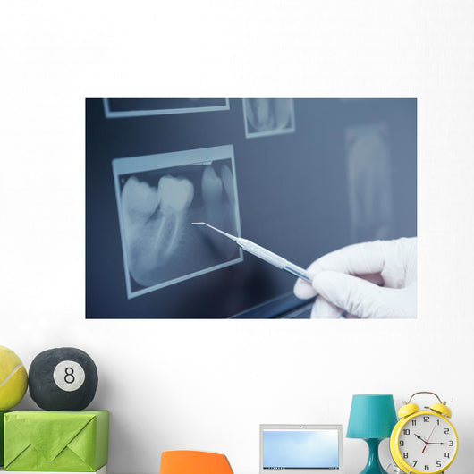 Gloved hand holding dental tool to teeth x-ray Wall Decal