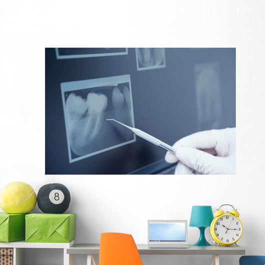 Gloved hand holding dental tool to teeth x-ray Wall Decal