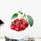 Cherry Object on a White Background Wall Decal
