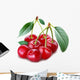 Cherry Object on a White Background Wall Decal