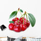 Cherry Object on a White Background Wall Decal