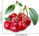 Cherry Object on a White Background Wall Decal