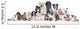 Haustiergruppe Wall Decal