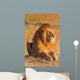 Male lion in Masai Mara Wall Decal