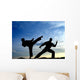 Karate Wall Decal