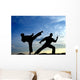 Karate Wall Decal