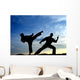 Karate Wall Decal