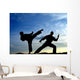Karate Wall Decal