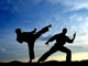 Karate Wall Decal