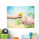 Young woman giving a dandelion to senior woman Wall Decal