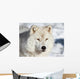 Artic Wolf Wall Decal