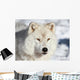Artic Wolf Wall Decal