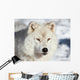 Artic Wolf Wall Decal