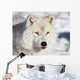 Artic Wolf Wall Decal