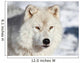 Artic Wolf Wall Decal