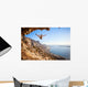 Female rock climber falling of a cliff while lead climbing Wall Decal