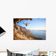 Female rock climber falling of a cliff while lead climbing Wall Decal