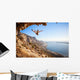 Female rock climber falling of a cliff while lead climbing Wall Decal