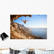 Female rock climber falling of a cliff while lead climbing Wall Decal