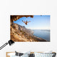 Female rock climber falling of a cliff while lead climbing Wall Decal