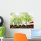 Person Planting Money Plants Wall Decal